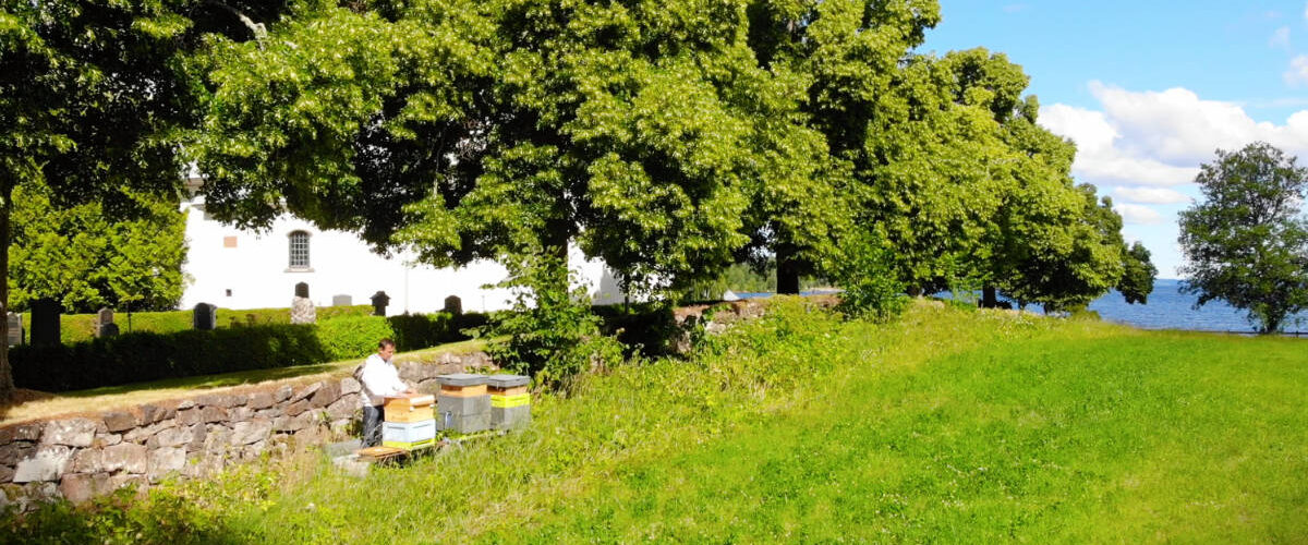 Biodling och honung i Ydre | VISIT YDRE