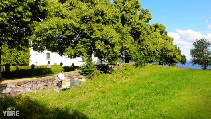 Biodling och honung i Ydre | VISIT YDRE