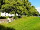 Biodling och honung i Ydre | VISIT YDRE