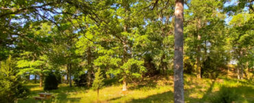 Herbergshult naturreservat | VISIT YDRE