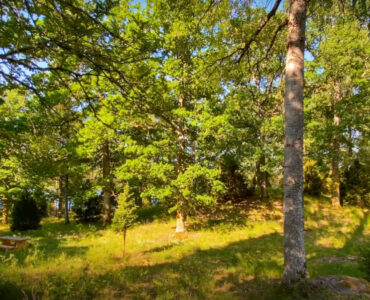 Herbergshult naturreservat | VISIT YDRE