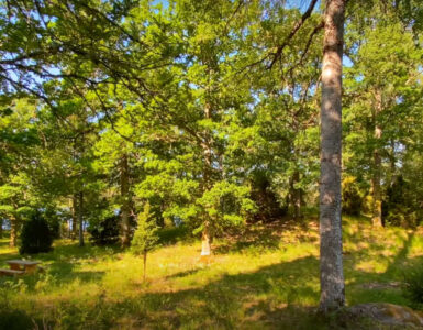 Herbergshult naturreservat | VISIT YDRE