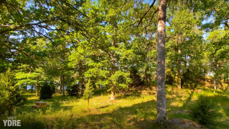 Herbergshult naturreservat | VISIT YDRE