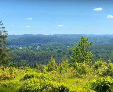 Högmåla knapp | VISIT YDRE