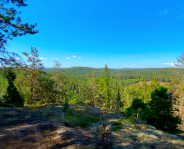 Kälemåla knapp | VISIT YDRE