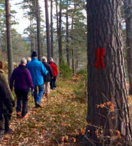 Norra Vi Idrottssällskap | Norra Vi socken | Ydre kommun