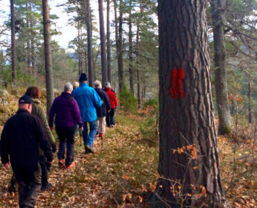 Norra Vi Idrottssällskap | Norra Vi socken | Ydre kommun