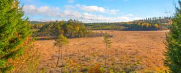 Rocks Mosse Naturreservat | VISIT YDRE