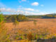 Rocks Mosse Naturreservat | VISIT YDRE